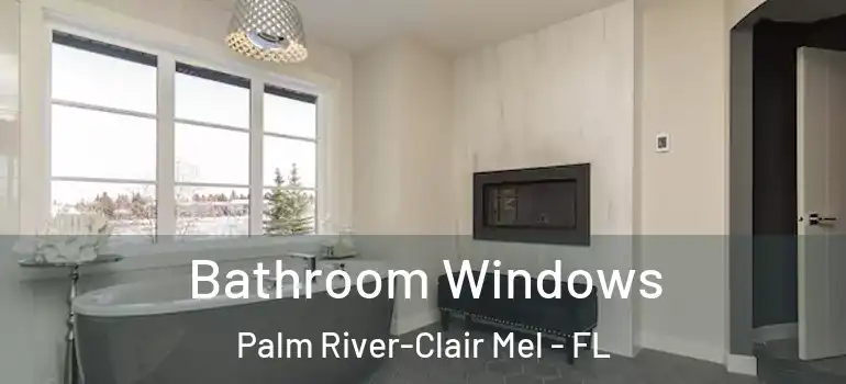  Bathroom Windows Palm River-Clair Mel - FL