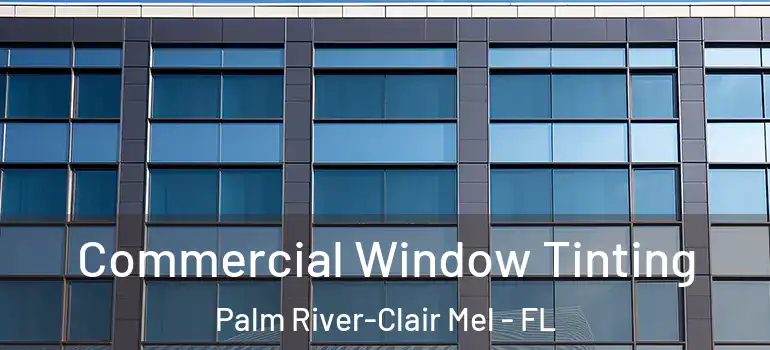  Commercial Window Tinting Palm River-Clair Mel - FL