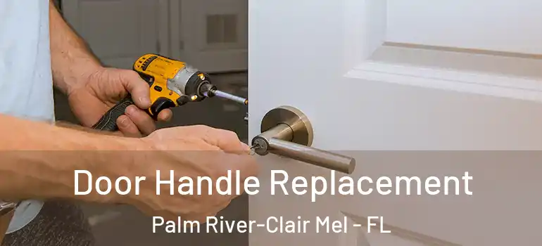  Door Handle Replacement Palm River-Clair Mel - FL