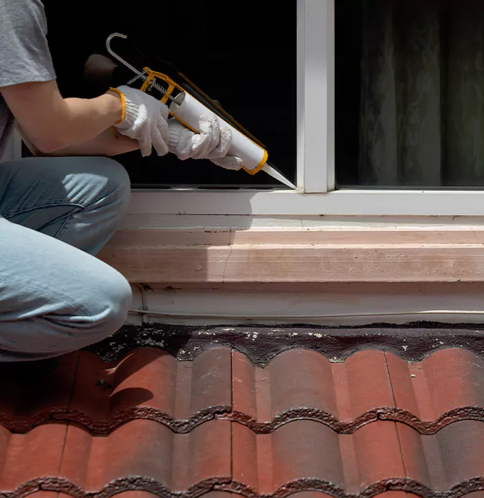 Roof Window Services in Palm River-Clair Mel, Florida