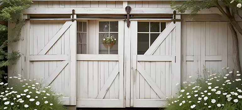 Rear Barn Door Repair in Palm River-Clair Mel, FL