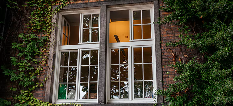 Energy Efficient Wood Windows in Palm River-Clair Mel, FL