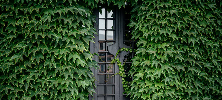 Garden Gate Repair in Palm River-Clair Mel, FL