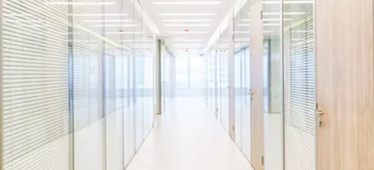 Frosted Glass Windows Replacement in Palm River-Clair Mel, FL