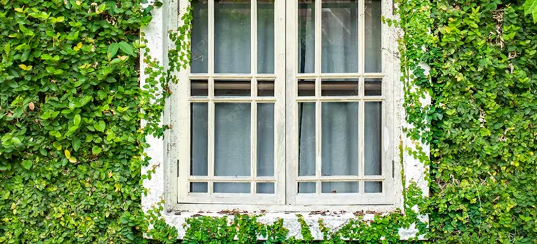 Garden Window Repair Near Me in Palm River-Clair Mel, FL