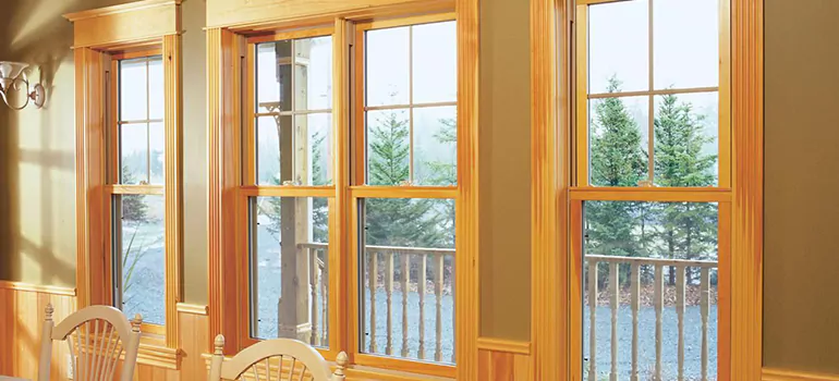 Government Incentives For Replacement Windows in Palm River-Clair Mel, FL