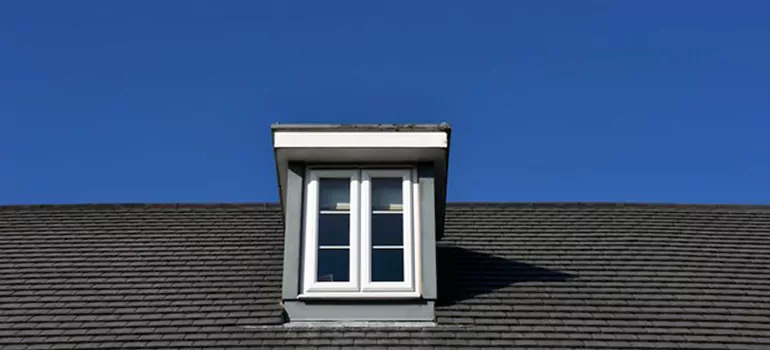 Roof Window Installation in Palm River-Clair Mel, FL