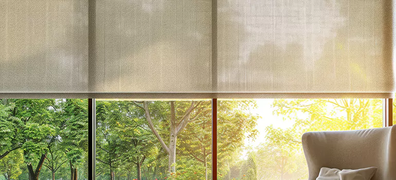 Custom Window Shades in Palm River-Clair Mel, FL