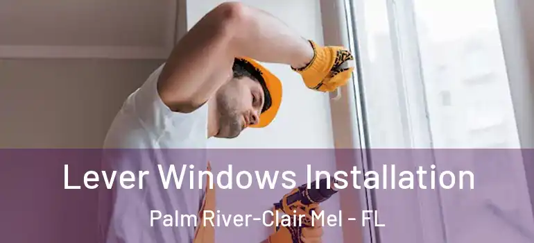  Lever Windows Installation Palm River-Clair Mel - FL