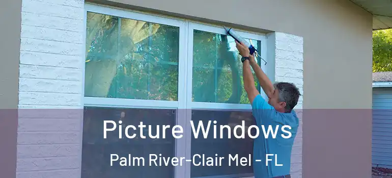  Picture Windows Palm River-Clair Mel - FL