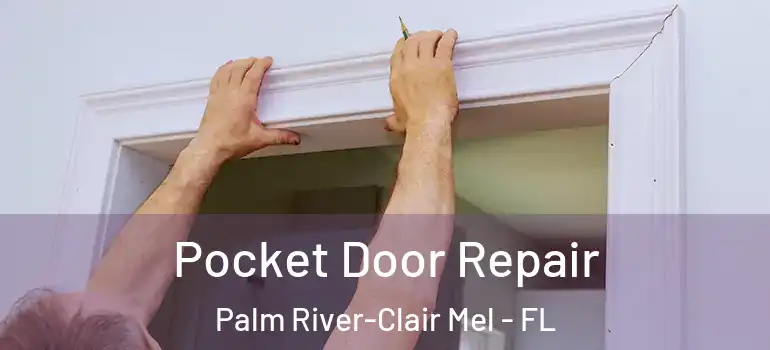  Pocket Door Repair Palm River-Clair Mel - FL