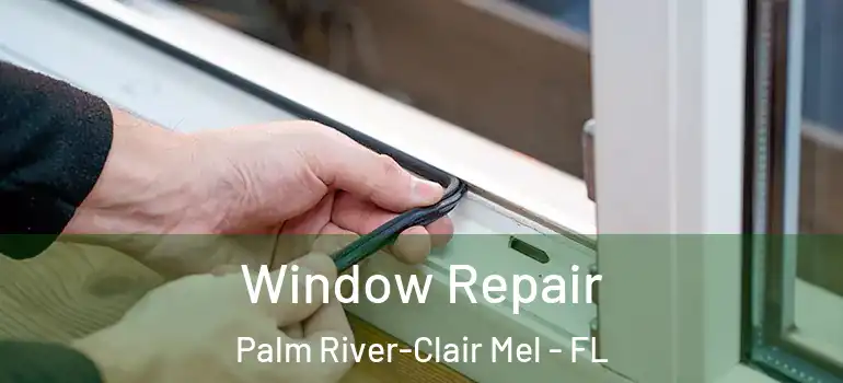  Window Repair Palm River-Clair Mel - FL